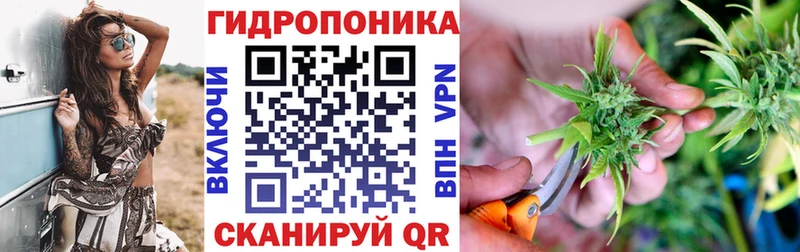 Купить Псилоцибиновые грибы  Меф  ГАШИШ  КОКАИН  Кировград