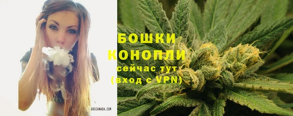 гашик Волоколамск